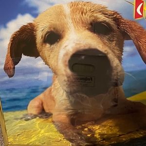 Meet your Posher, Peg